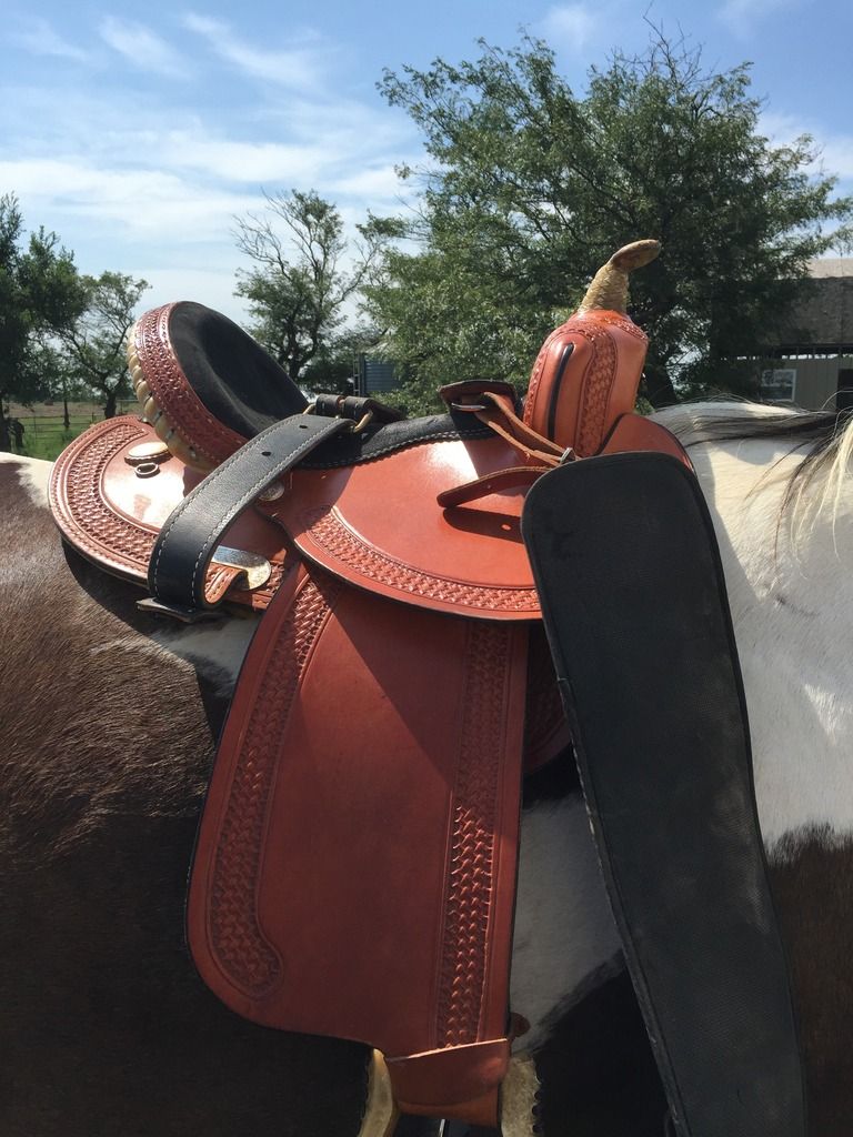 Saddle Lifts at Back (Western) The Horse Forum